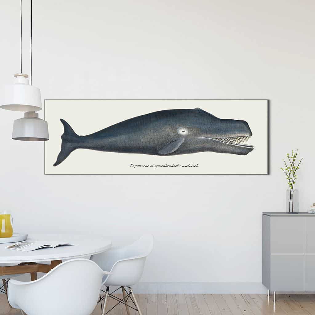 Groenlandse walvis