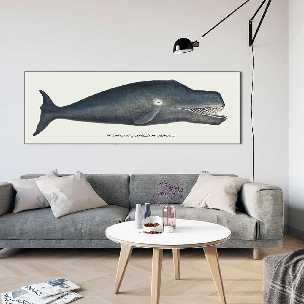 Groenlandse walvis