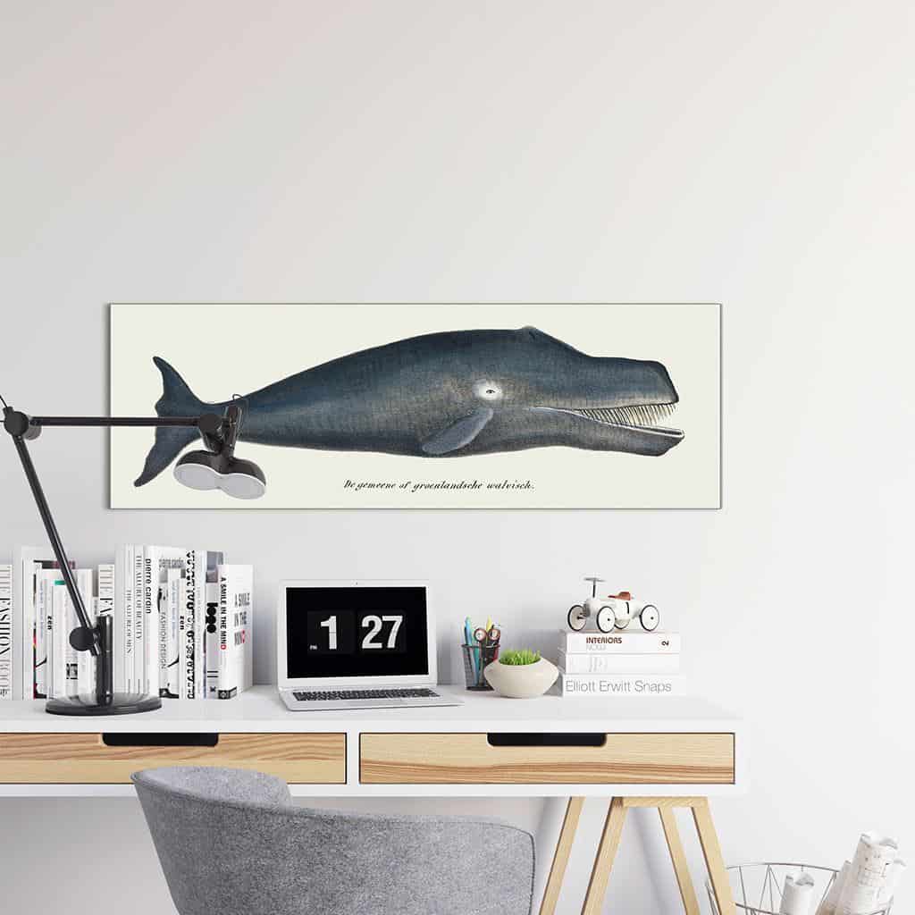 Groenlandse walvis