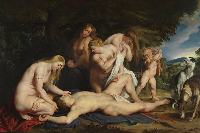 De dood van Adonis (Peter Paul Rubens)