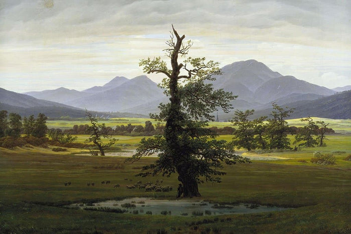 De eenzame boom - Caspar David Friedrich