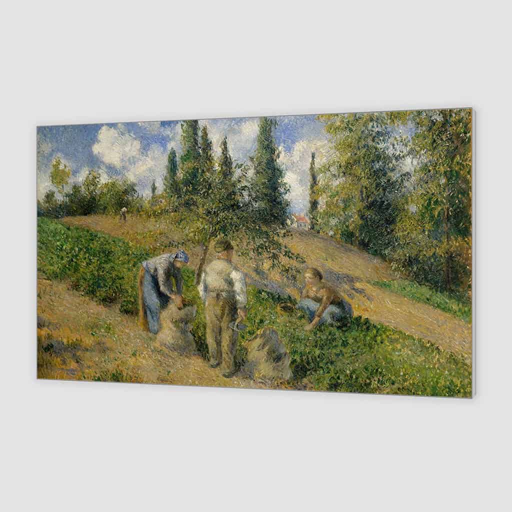 De oogst Pontoise La Recolte Pontoise - Camille Pissarro