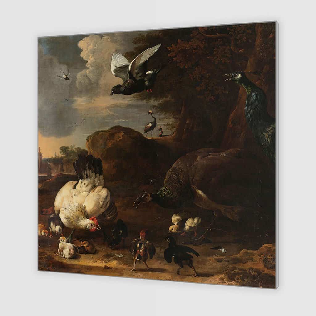 Een hen met kuikens bedreigd door twee pauwen, bekend als ‘De bedreigde hen’ (Melchior d'Hondecoeter)
