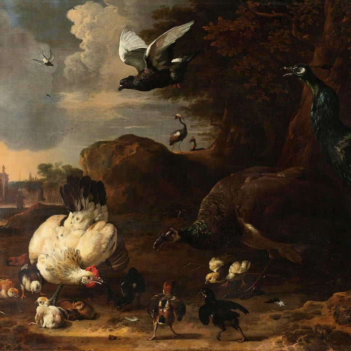 Een hen met kuikens bedreigd door twee pauwen, bekend als ‘De bedreigde hen’ (Melchior d'Hondecoeter)