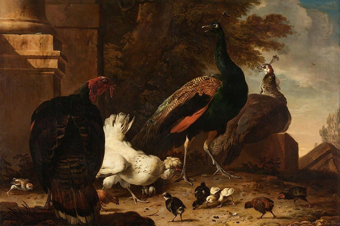 Een hen met pauwen en een kalkoen (Melchior d'Hondecoeter)