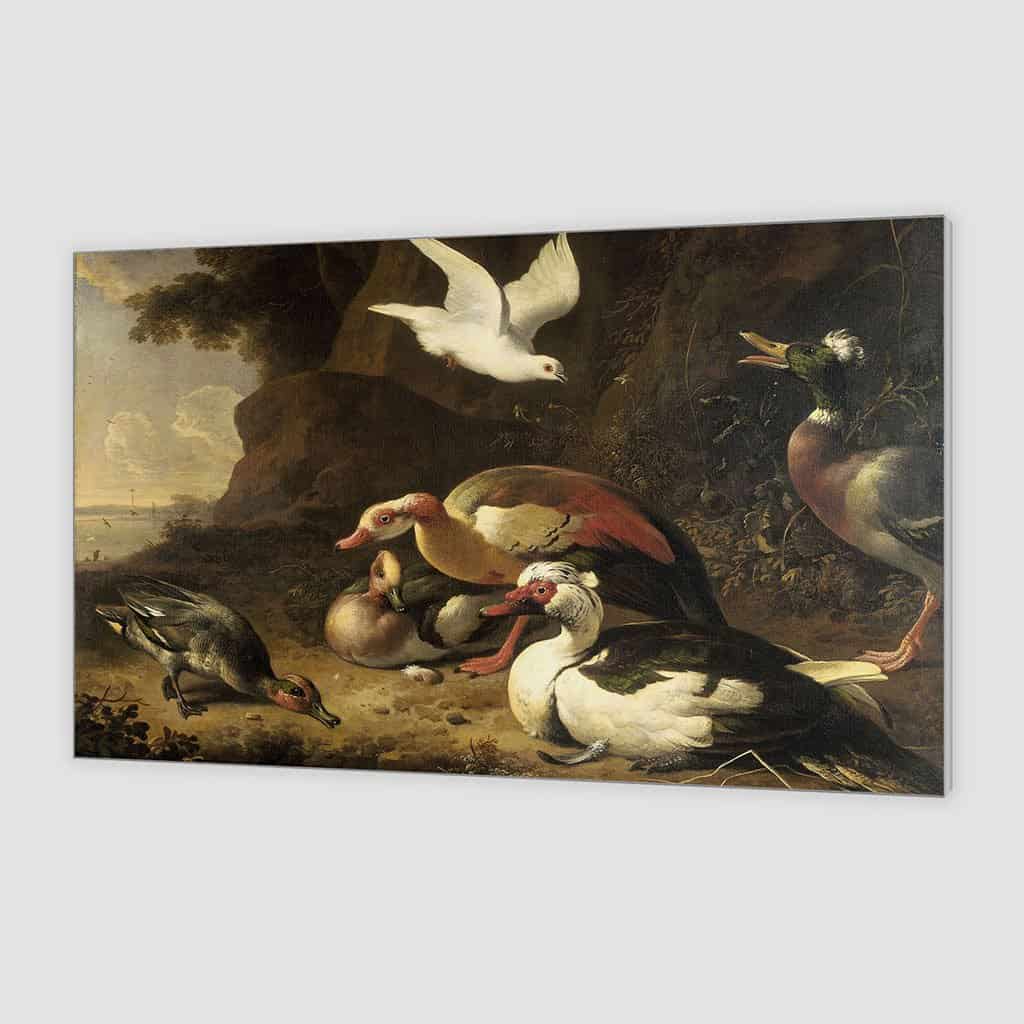 Eenden (Melchior d'Hondecoeter)