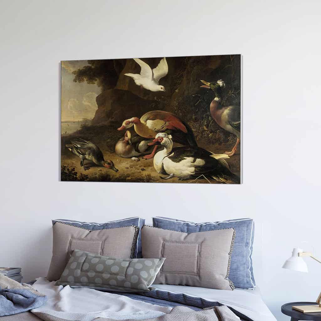 Eenden (Melchior d'Hondecoeter)