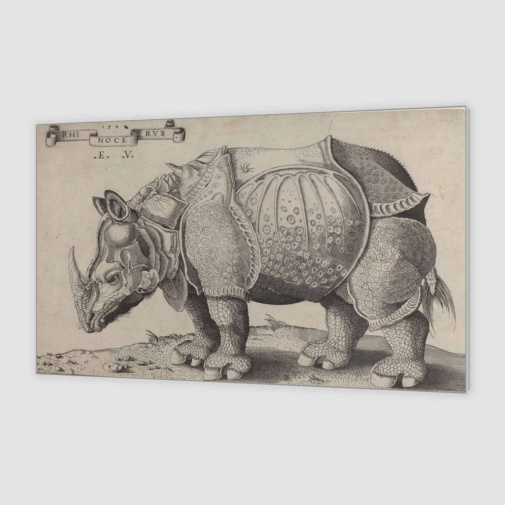Enea Vico after Albrecht Dürer - Rhinoceros