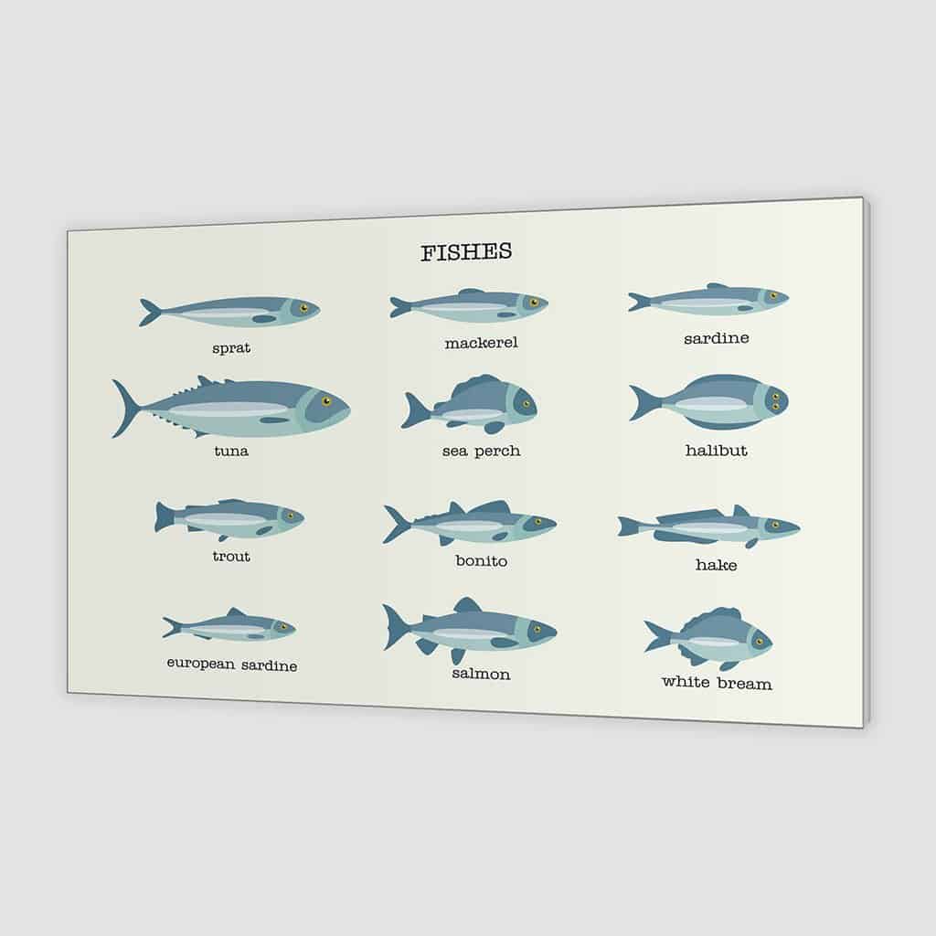 Soorten vis