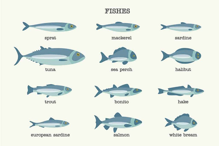 Soorten vis