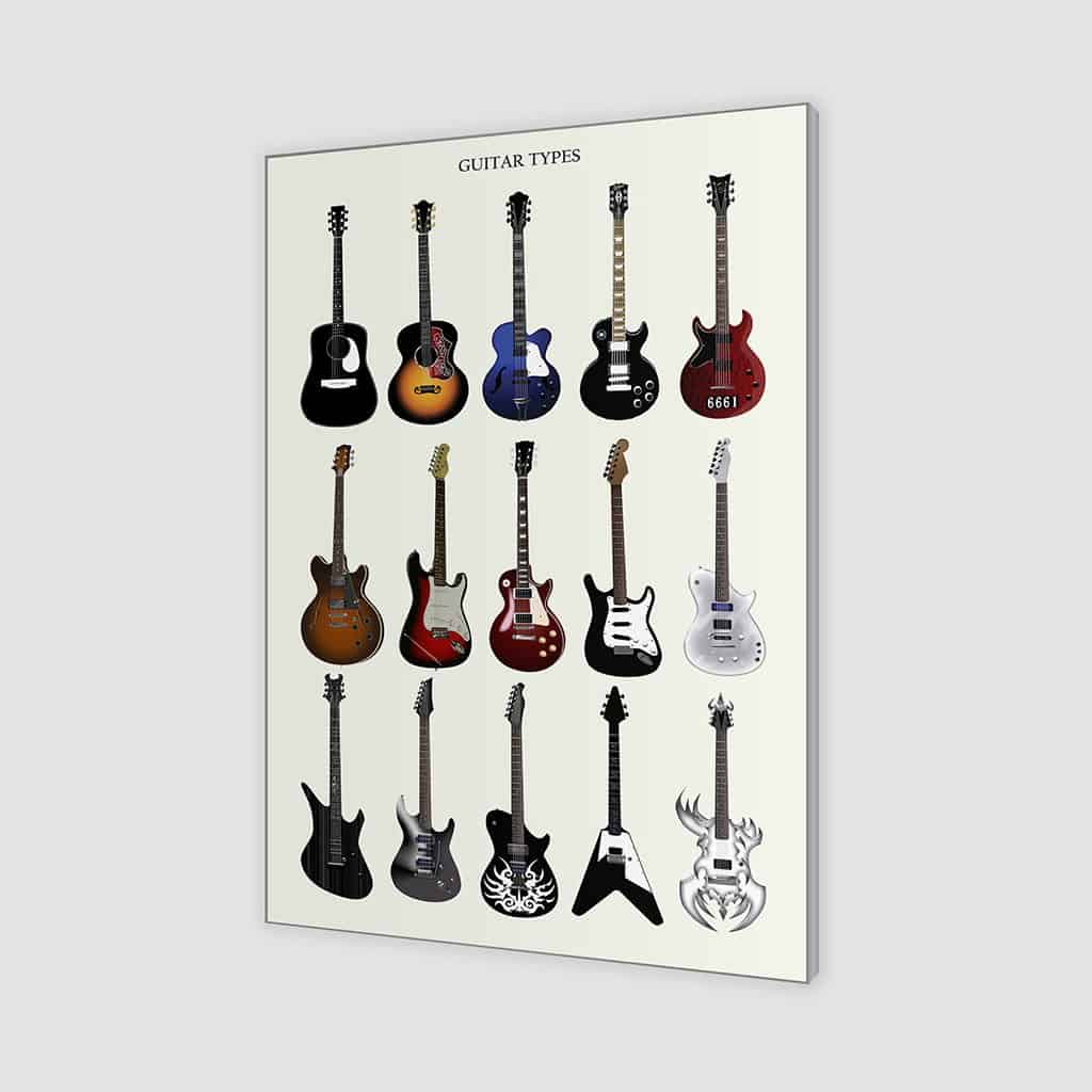 Gitaar soorten