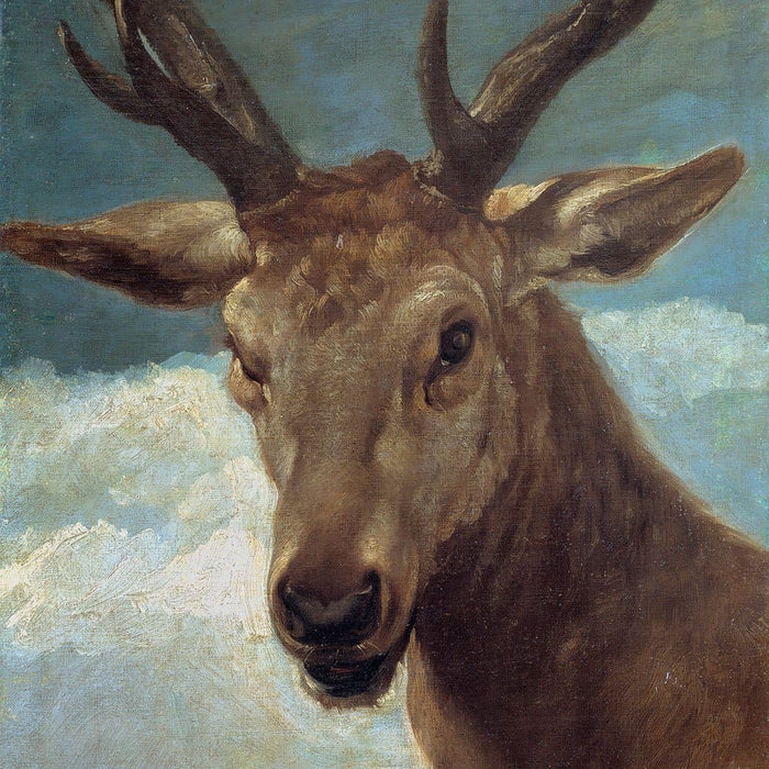 Hoofd van een Mannetje (Diego Velázquez)