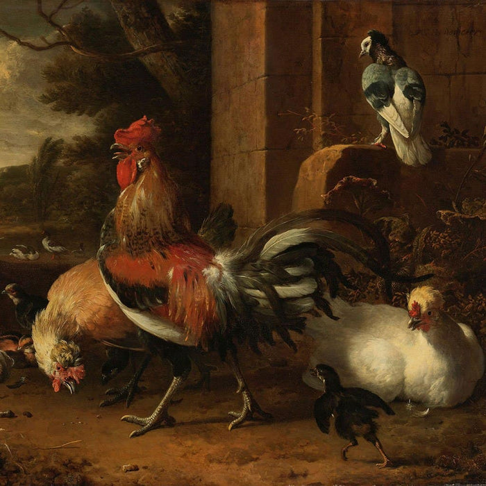 Hoenderhof (Melchior d'Hondecoeter)