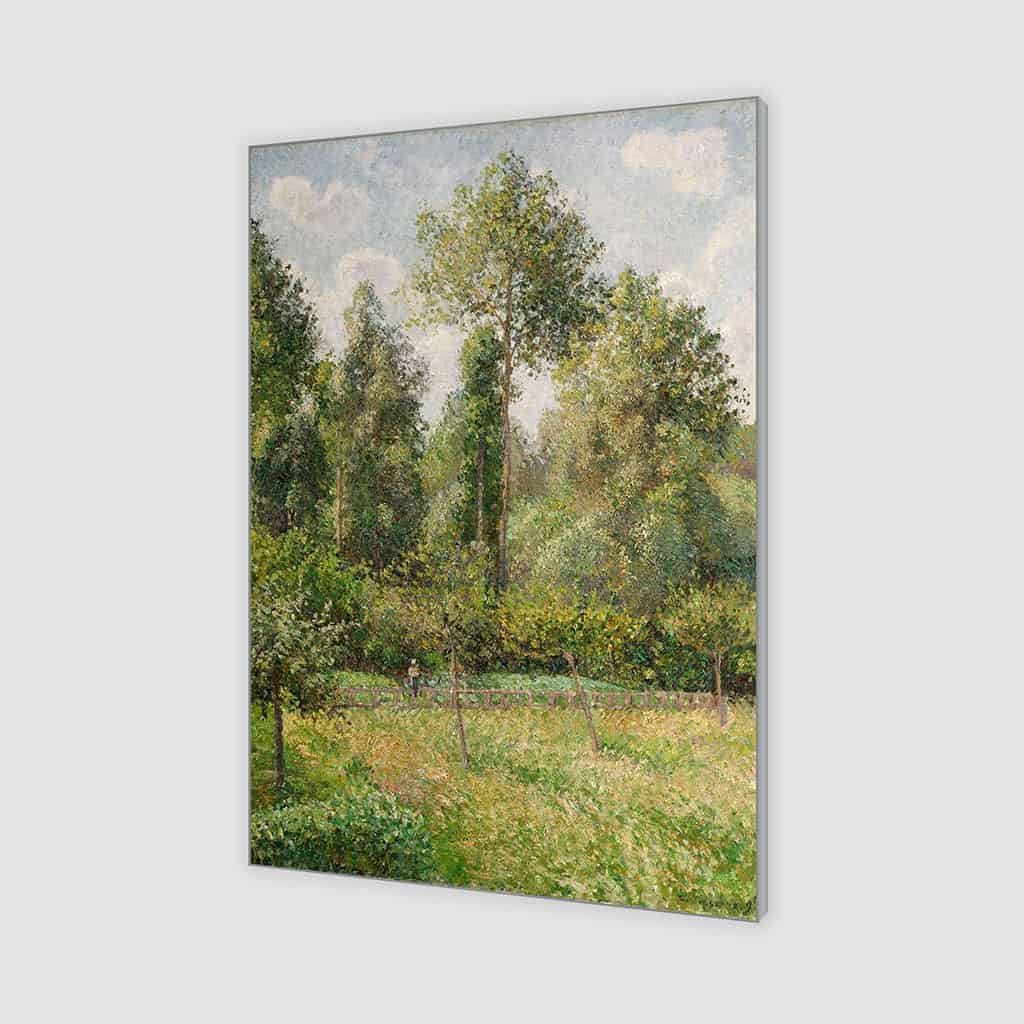 Populieren Eragny - Camille Pissarro