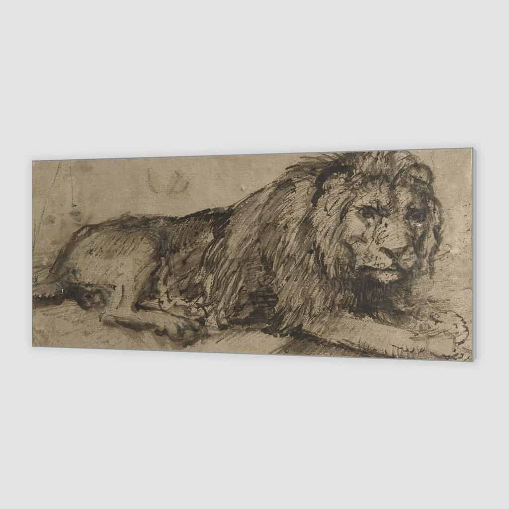 Liggende Leeuw (Rembrandt)