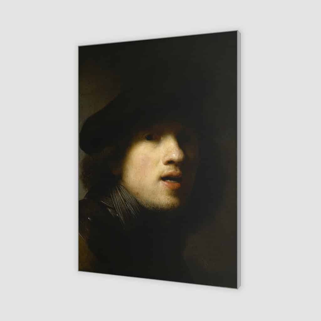 Zelfportret studie in de spiegel (de menselijke huid) (Rembrandt)