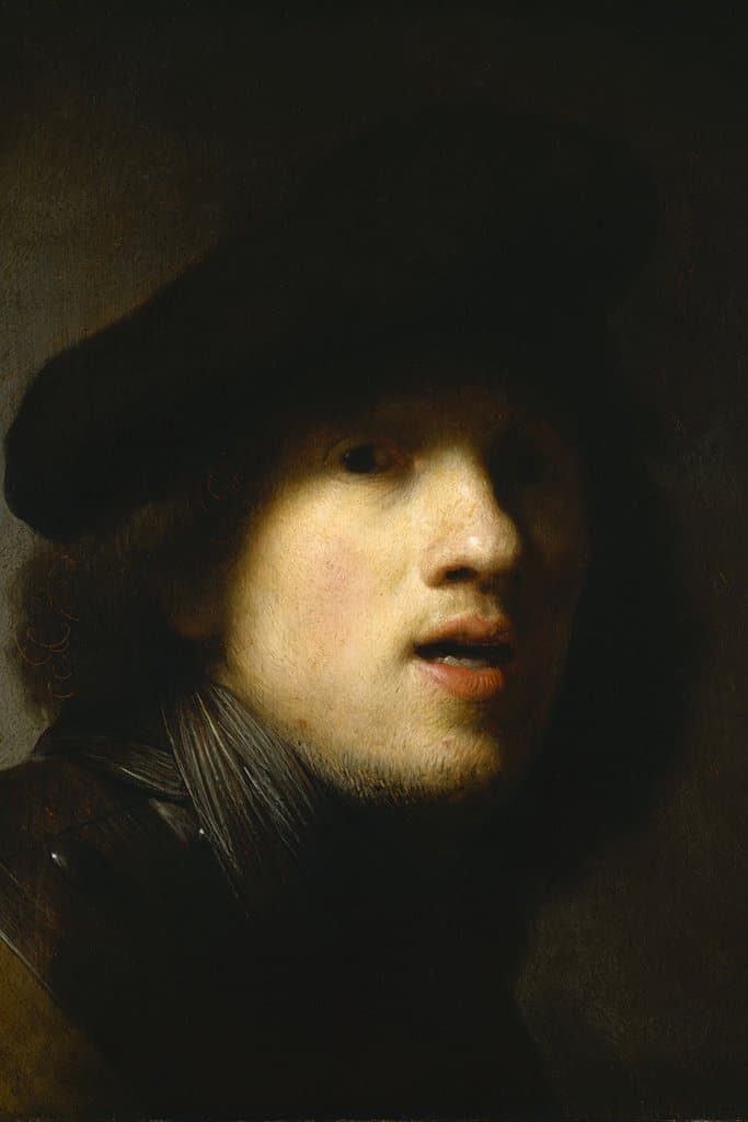 Zelfportret studie in de spiegel (de menselijke huid) (Rembrandt)