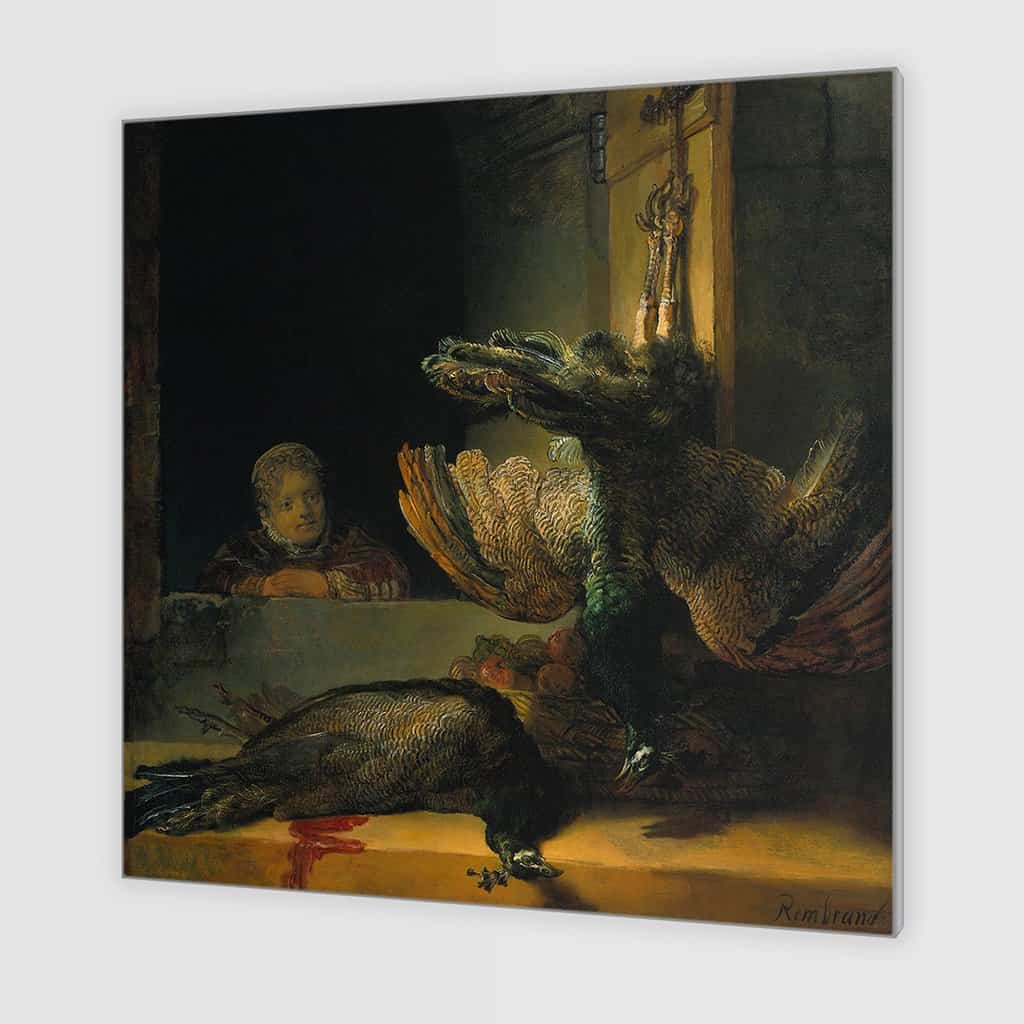Twee dode pauwen en een meisje (Rembrandt)