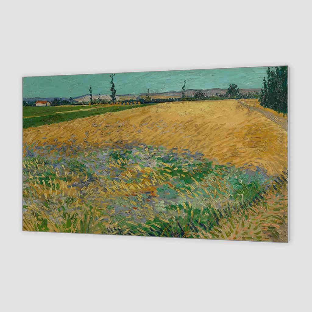 Korenveld (Vincent van Gogh)