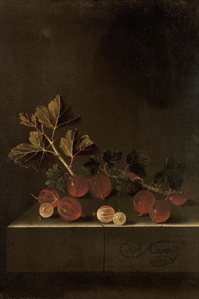 Een takje kruisbessen op een stenen sokkel (Adriaen Coorte)