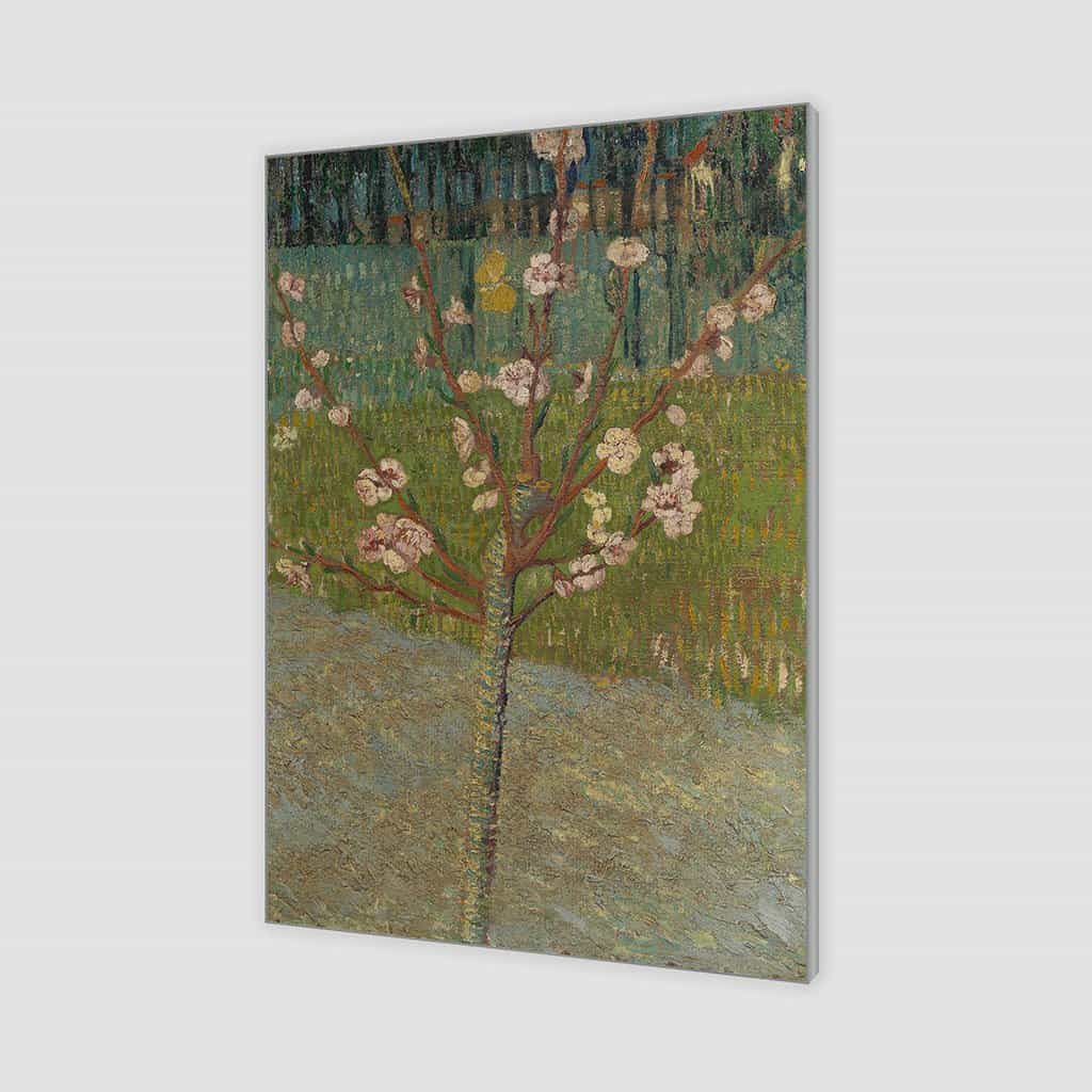Amandelboom in bloei (Vincent van Gogh)