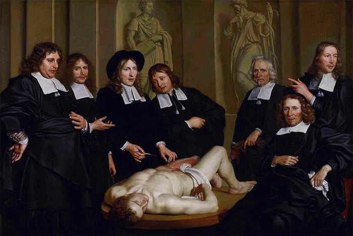 Anatomie les van Dr. Frederik Ruysch - Adriaen Backer