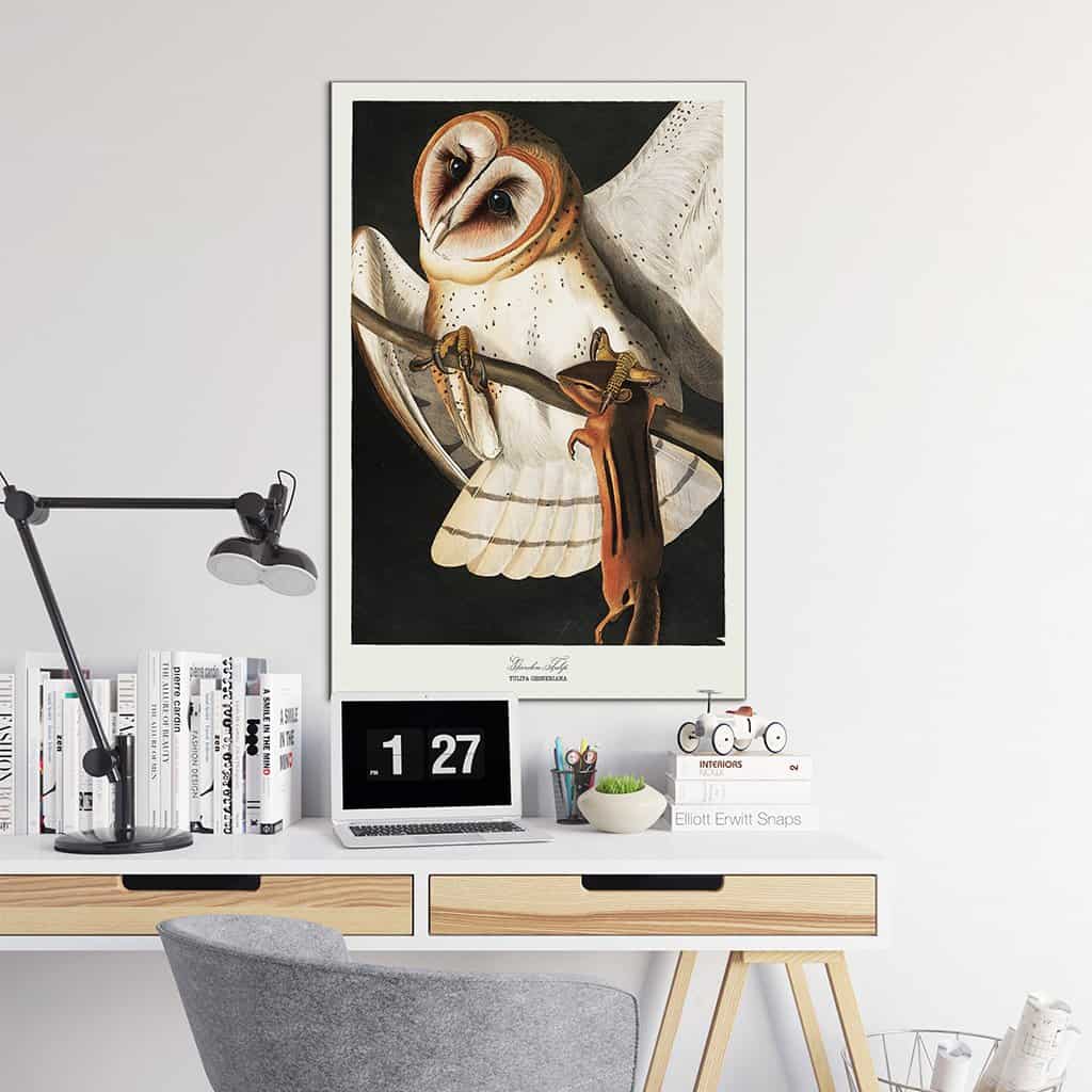 Schuur Uil
