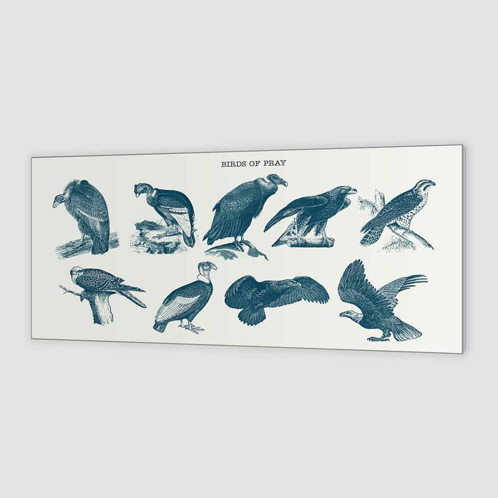 Vogels van bidden