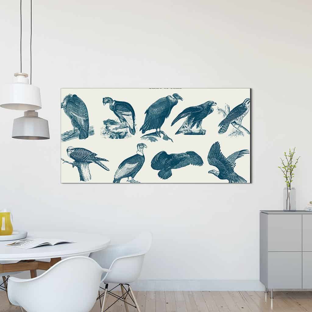 Vogels van bidden