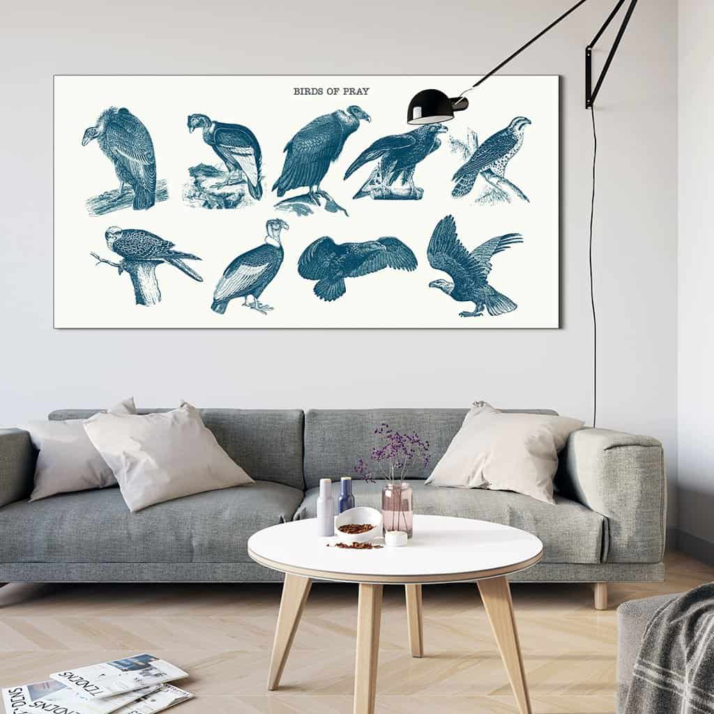 Vogels van bidden