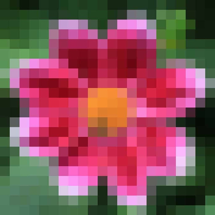 Bloem - Pixel Art