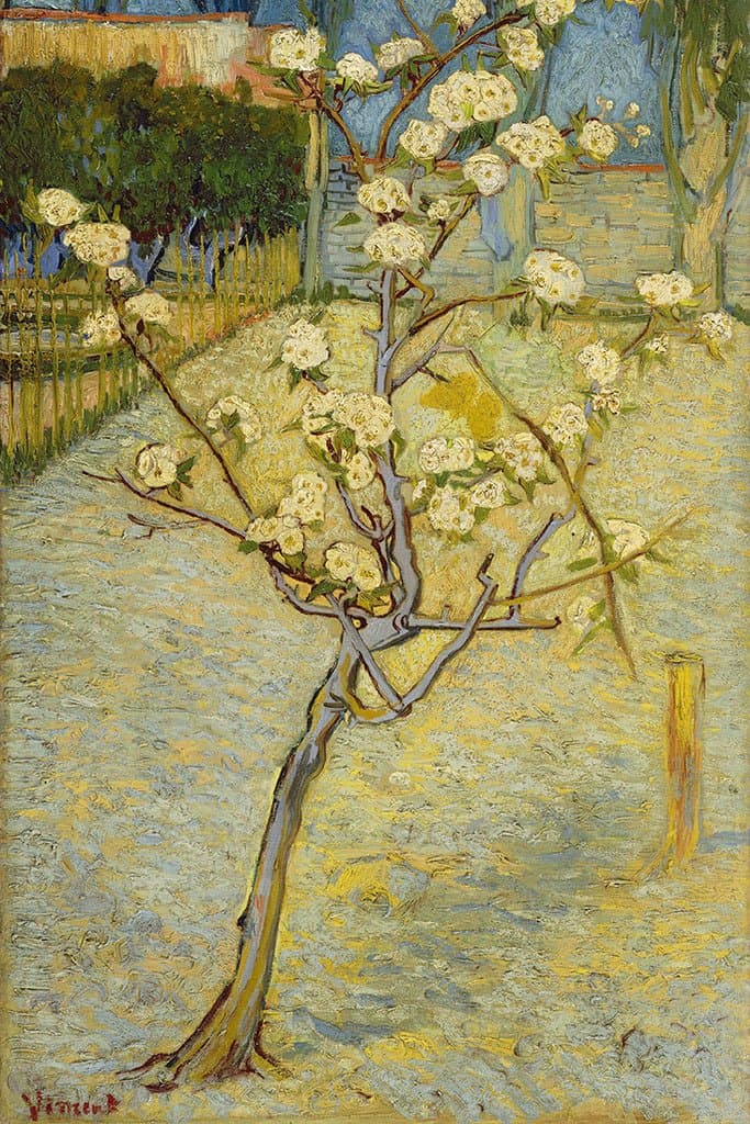 Bloeiende perenzeep (Vincent van Gogh)