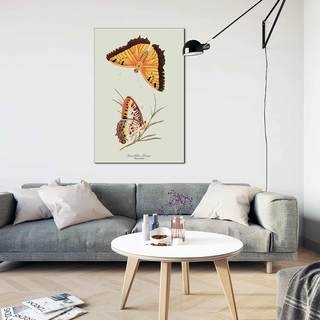 Bewolkte gele vlinder