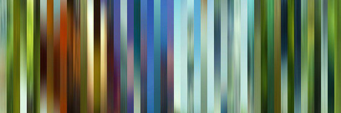 Kleuren Van De Plaats: Groningen