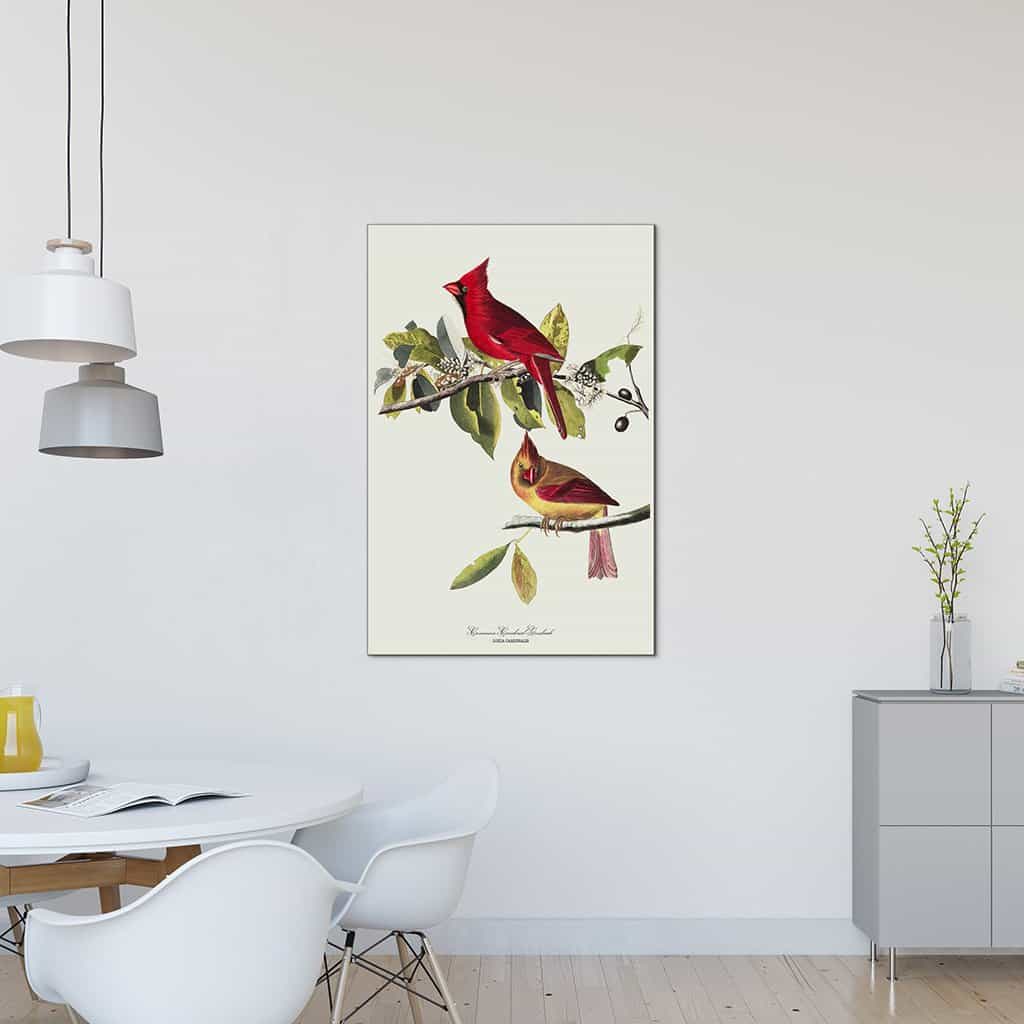 Kardinaal Grosbeak