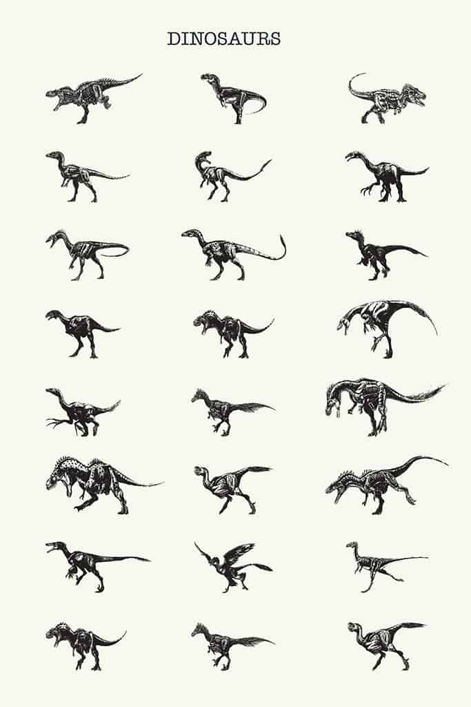 Dinosaurus soorten