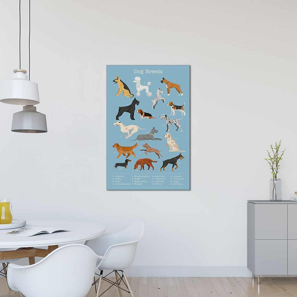 Soorten hond rassen