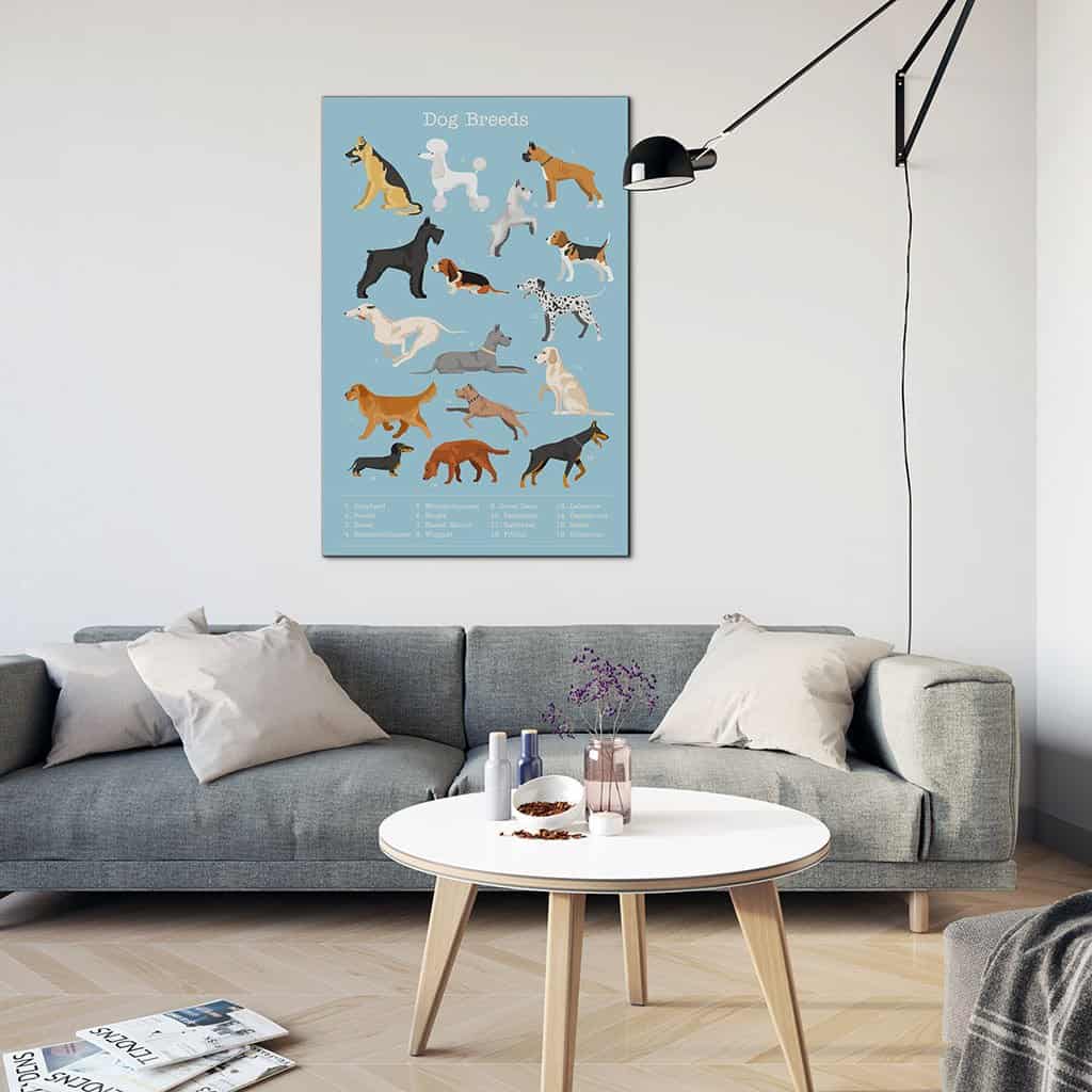 Soorten hond rassen