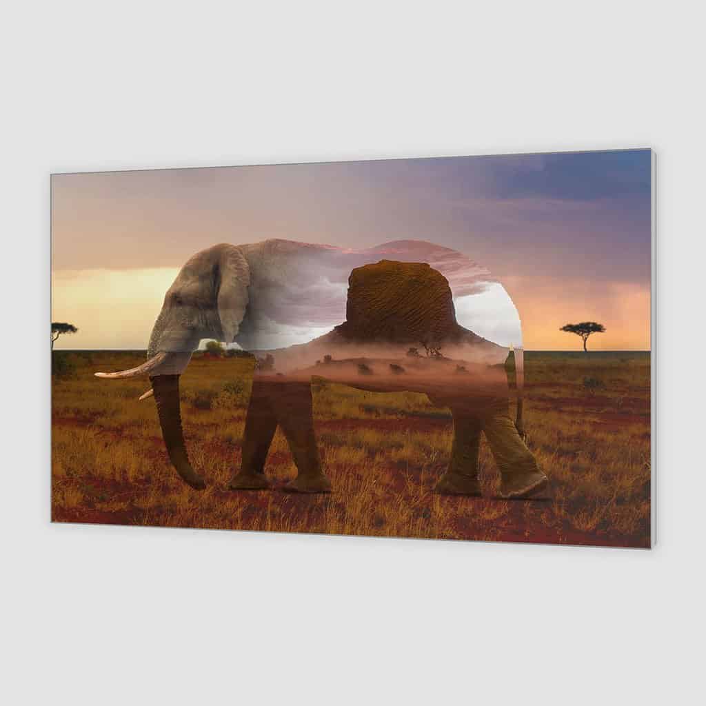 Dubbele belichting Olifant