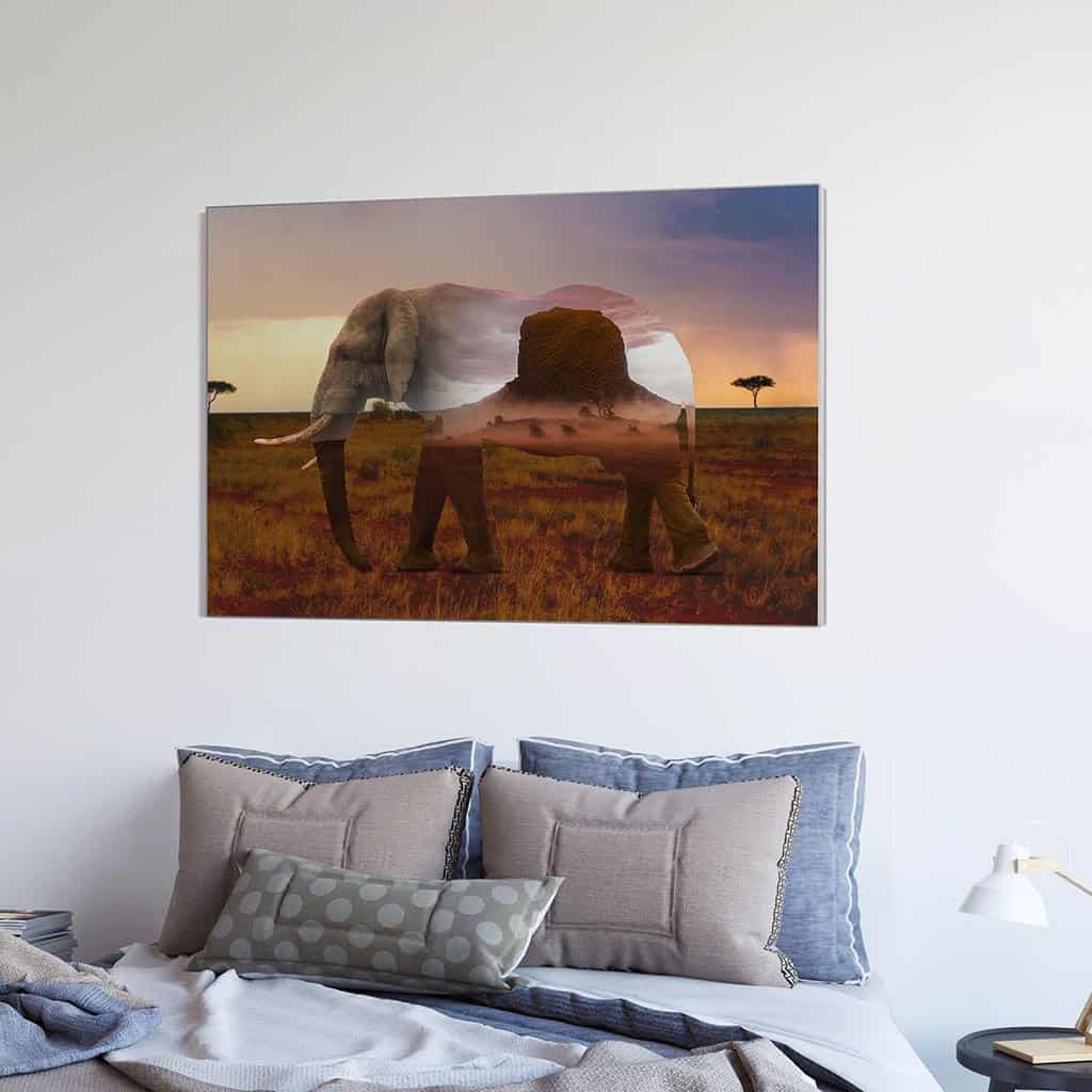 Dubbele belichting Olifant