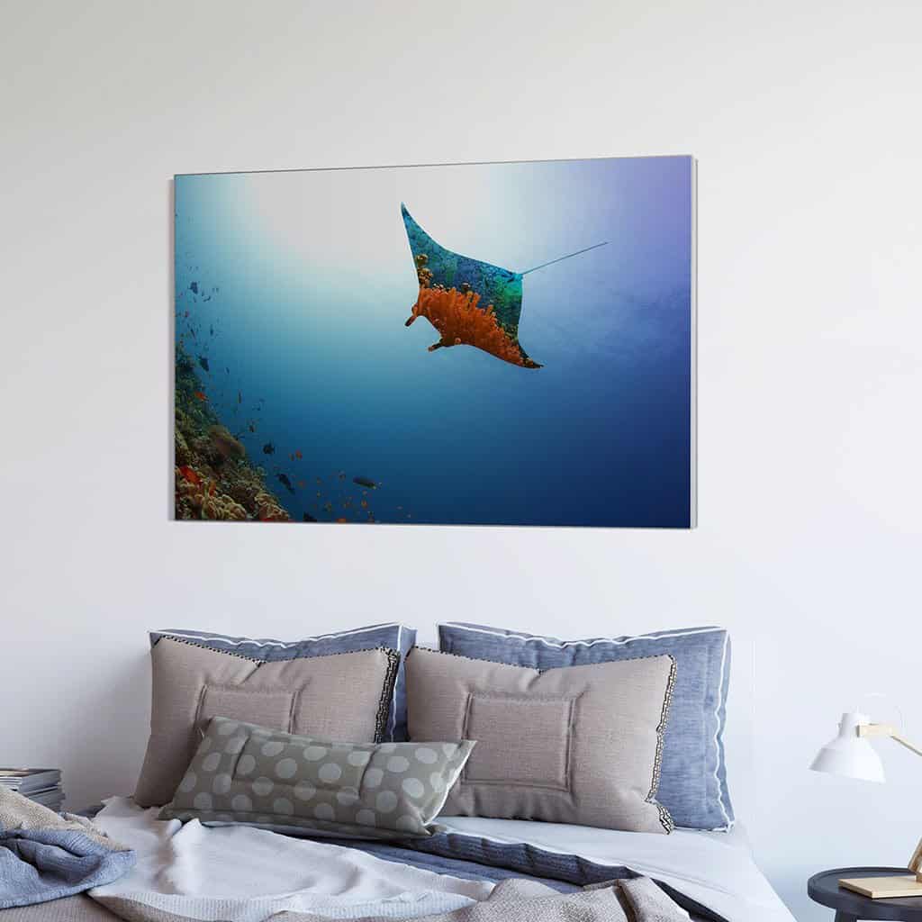 Vliegende Manta Ray