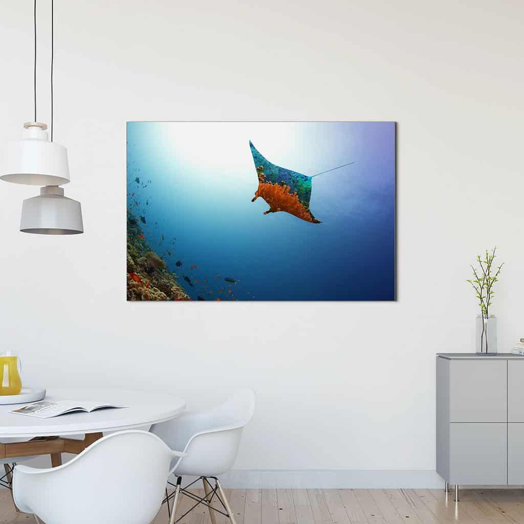 Vliegende Manta Ray