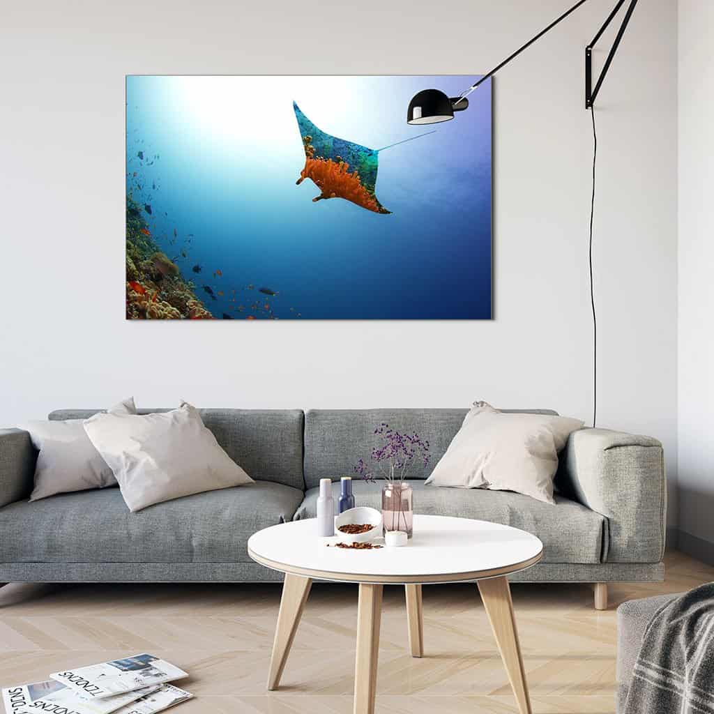 Vliegende Manta Ray