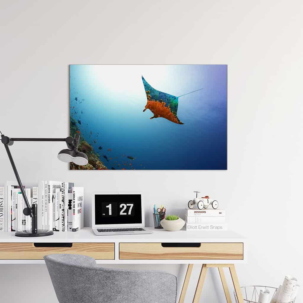 Vliegende Manta Ray