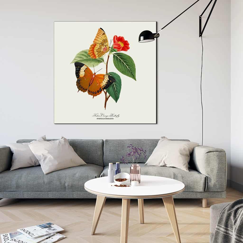 Festoon Oranje Vlinder