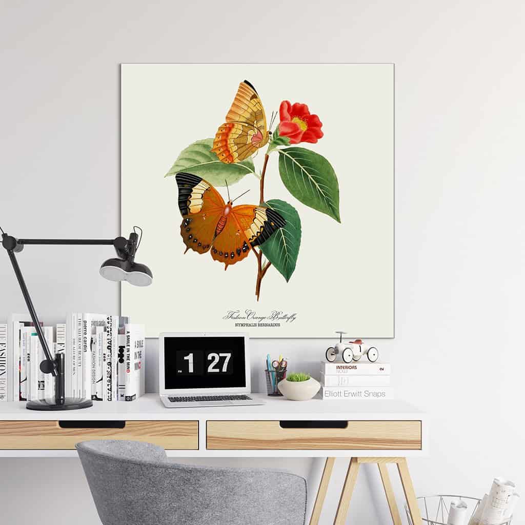 Festoon Oranje Vlinder