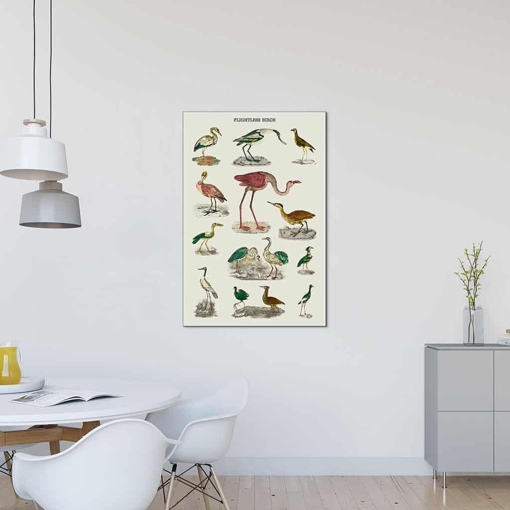 Soorten vluchtloze vogels