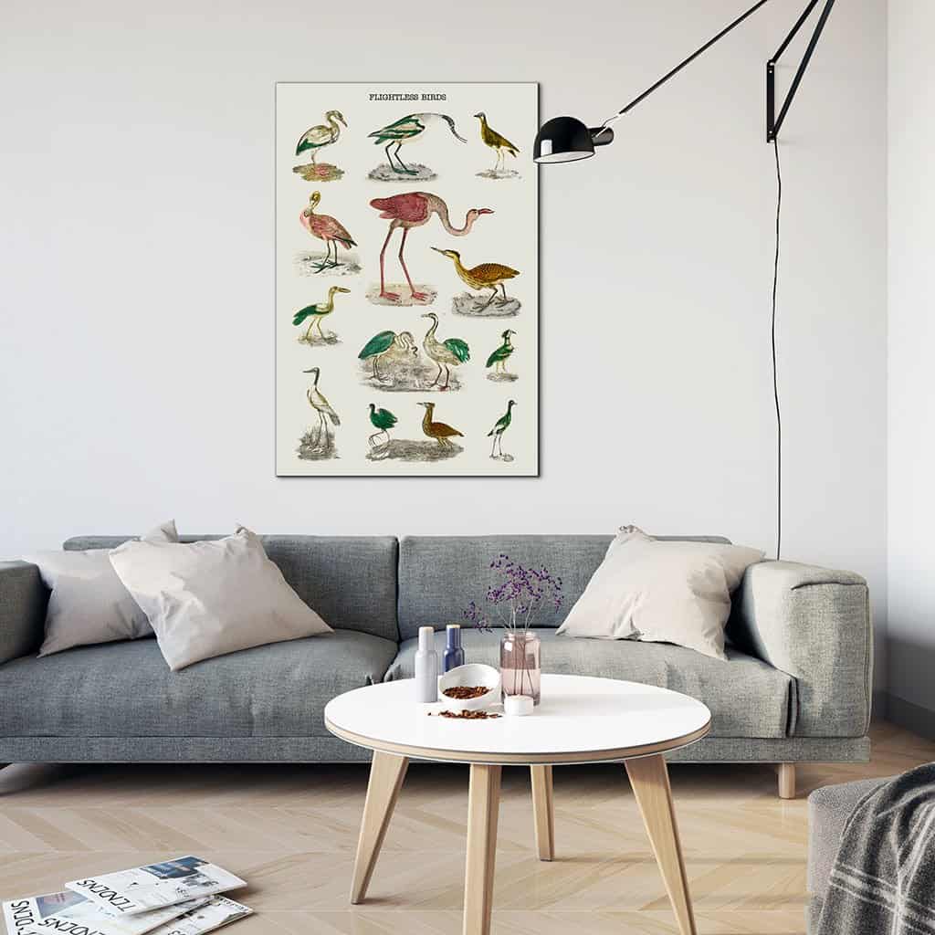 Soorten vluchtloze vogels