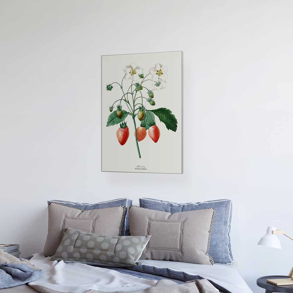 Onze meest geliefde zomervrucht: de aardbei