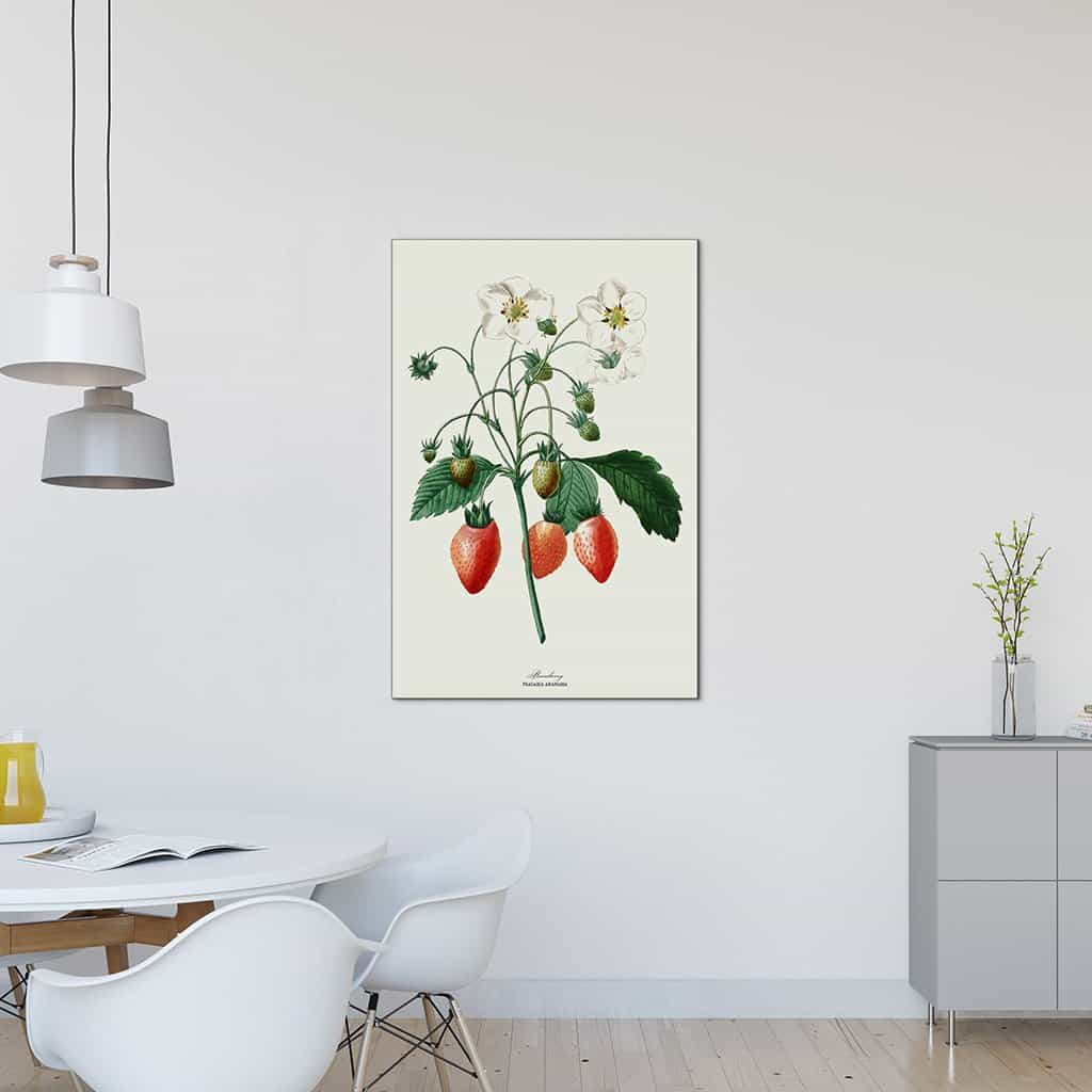 Onze meest geliefde zomervrucht: de aardbei